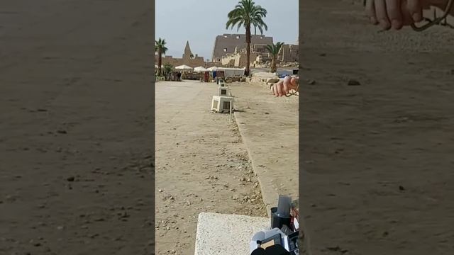 #karnaktemple #luxor #coffee #aeropress #egypt #2023 #1zpresso #amrican смотреть онлайн