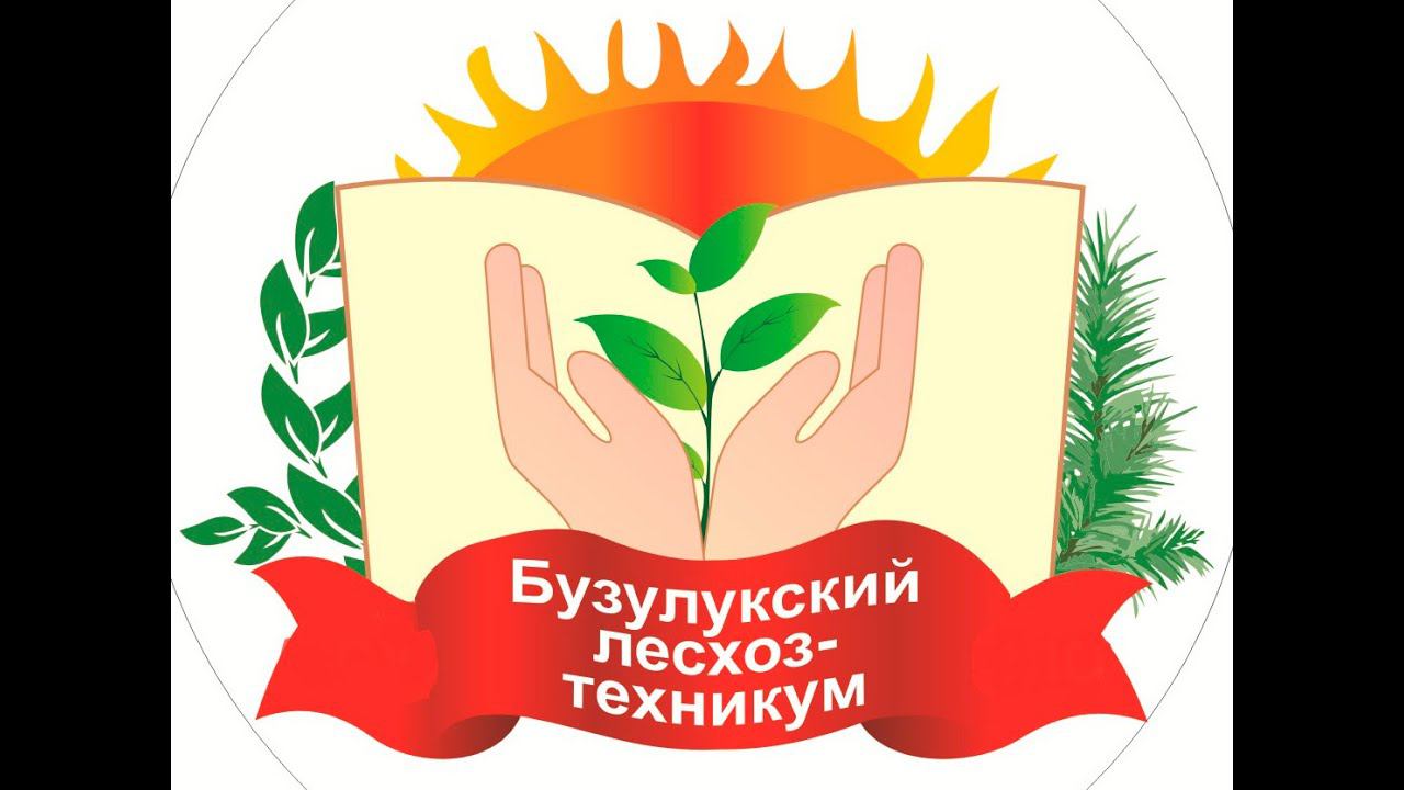 Открытие чемпионата смотреть онлайн