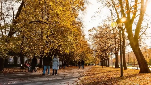Да кому ты нужна, жирная корова! Упрекала мать дочь, но еще не знала как она ответит... смотреть онлайн
