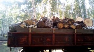 Как измерять кубатуру дров? Сколько кубов дров в телеге 2птс4(старого образца).