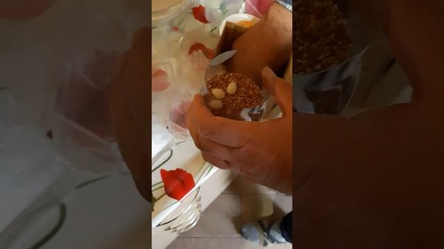 как можно сохранить яиц и перенести в другой город смотреть онлайн