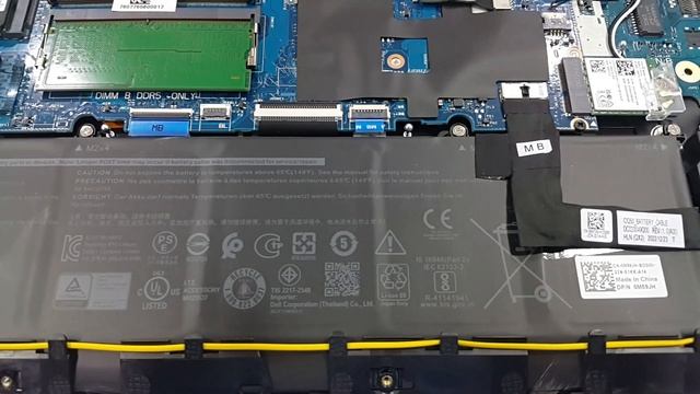 Review Dell G15 Gaming 5530