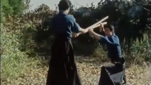 Katori Shinto ryu Risuke Otake Sensei