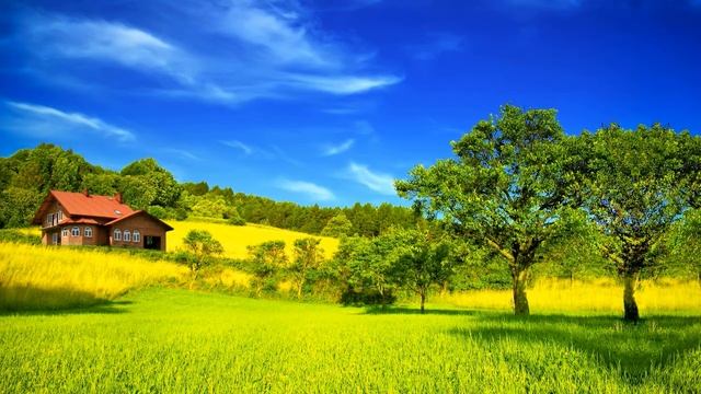 Спокойная музыка для видео без авторских прав смотреть онлайн