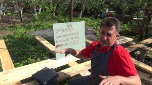 Апидомик, мечта сбывается