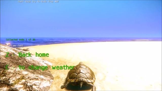 Turtle Simulator AMD A8 4500m Gameplay смотреть онлайн