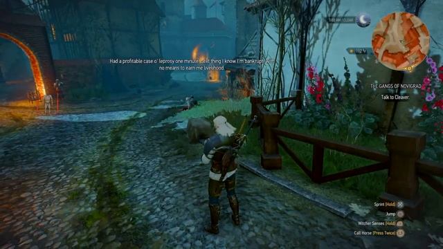 Random funny moment from the witcher 3 (Monty python) смотреть онлайн