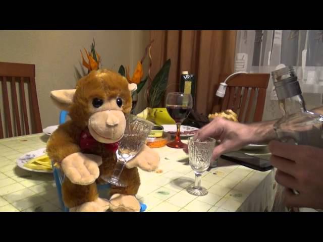 Обезьяны тоже пьют / Monkeys are also drinking смотреть онлайн