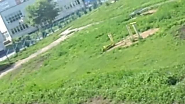 Коршун на Северо-Чемском ж\м г. Новосибирска смотреть онлайн