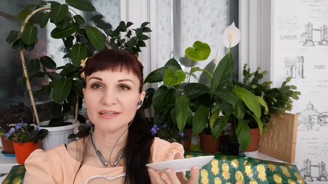 Выбор профессии ?#гаданиенакофейнойгуще #онлайнгадание #таро #веж #гадание #предсказание смотреть онлайн
