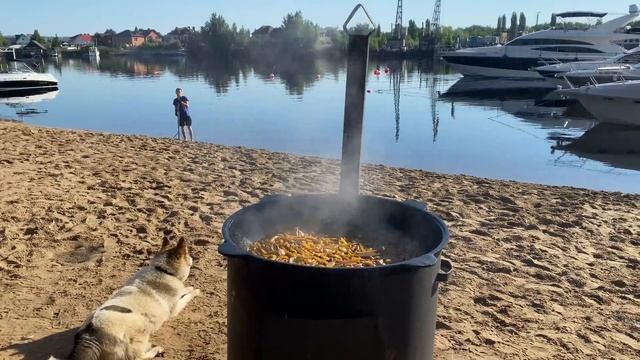 Вкусный плов — рецепты и советы