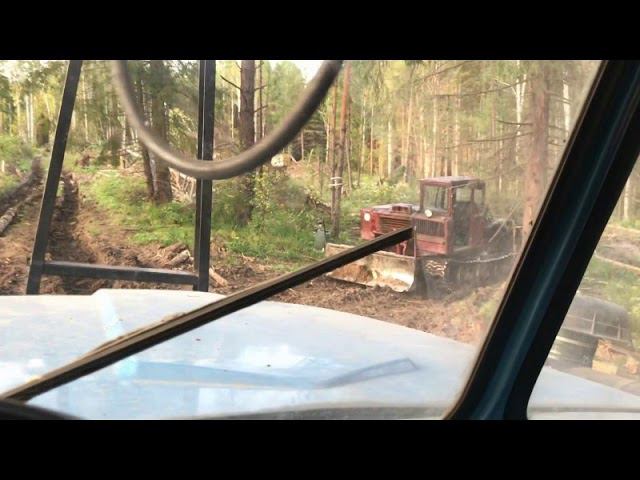 Лесовозные будни смотреть онлайн