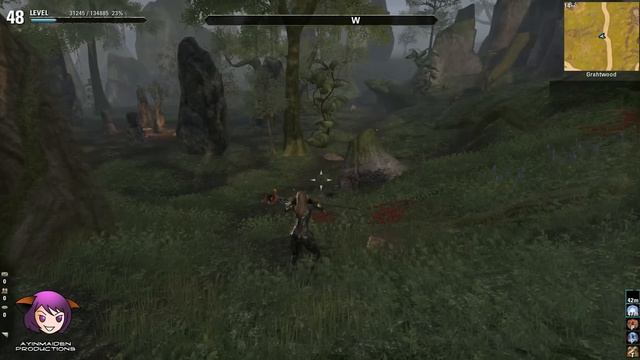 Elder Scrolls Online - Grahtwood Treasure Map IV смотреть онлайн
