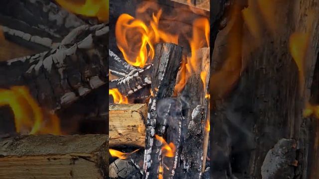 нежнейший шашлык на кефире #шашлык #шашлыкнакефире #маринад #майскийшашлык #ребрышки #рецепт смотреть онлайн