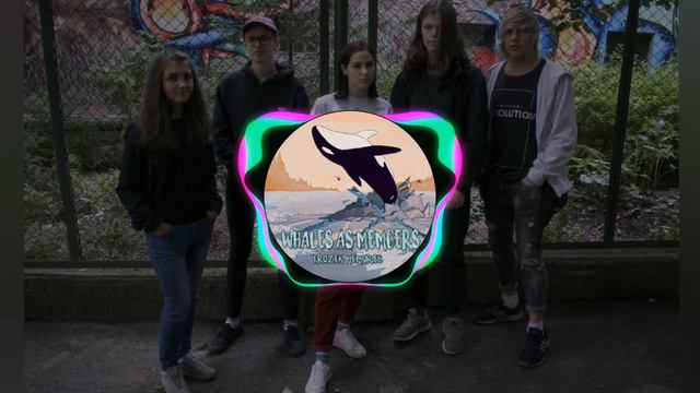 Whales As Members - Блэкхол смотреть онлайн