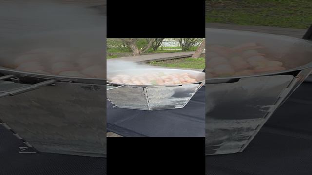 Имперские леса