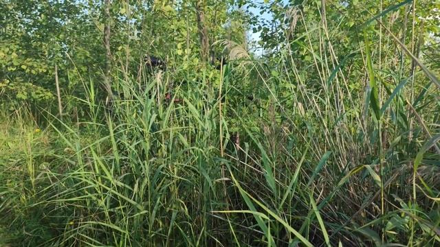 Производственная окраина города Иваново.mp4 смотреть онлайн