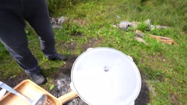 COOKING LAMB BRAINS | FRIED LAMBS' BRAIN RECIPE BY WILDERNESS COOKING