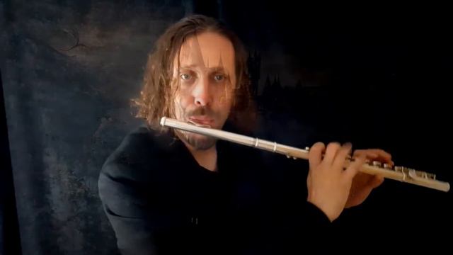 Harry Potter Main Theme - Flute solo смотреть онлайн