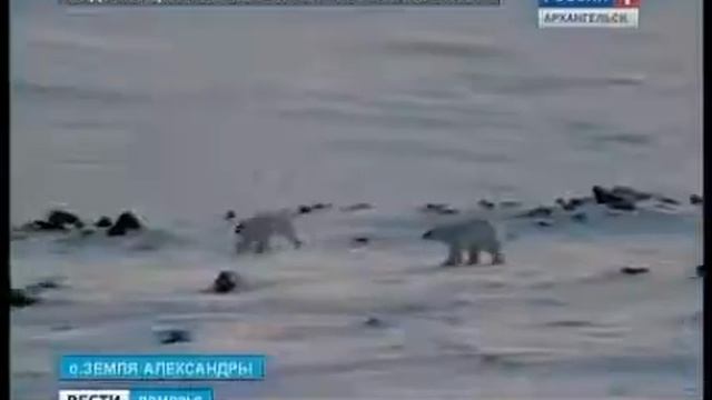 Весенний экспедиционный сезон прошёл успешно смотреть онлайн