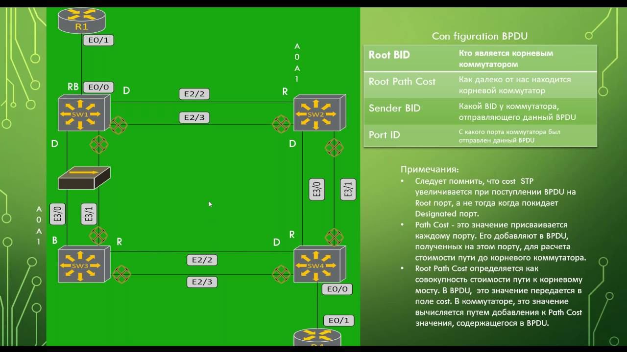 CCIE за год. Основы STP