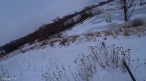 Охота на зайца 2023-2024. ПОКОРМИЛСЯ и СРАЗУ ЛЁГ! Тропление зайца русака зимой по снегу.