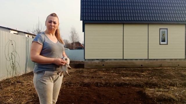 сажаем семейный лук смотреть онлайн