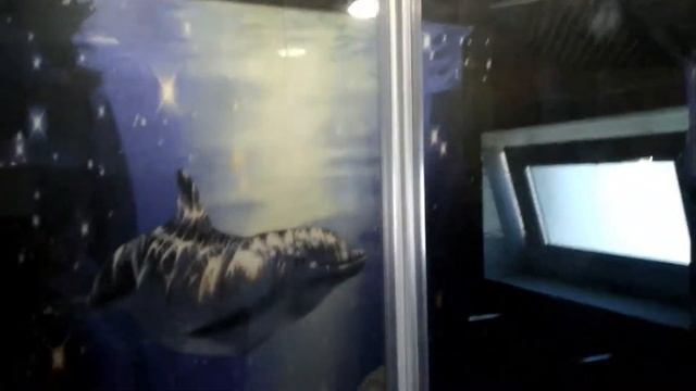 Стеклянная перегородка для ванной комнаты смотреть онлайн