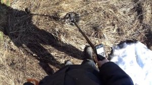 ПЕРВЫЙ КОП С МЕТАЛЛОИСКАТЕЛЕМ XP DEUS. КОМИ КОП.