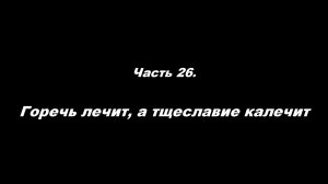О немощи современного пастырства. Часть 26. Горечь лечит, а тщеславие калечит