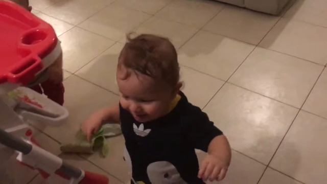 Baby penguin walk смотреть онлайн