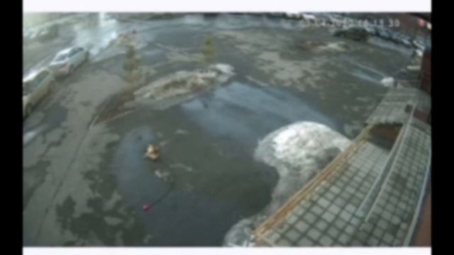 !¡Живодёрка сбросила собаку с балкона дома: Челябинская область!¡ смотреть онлайн