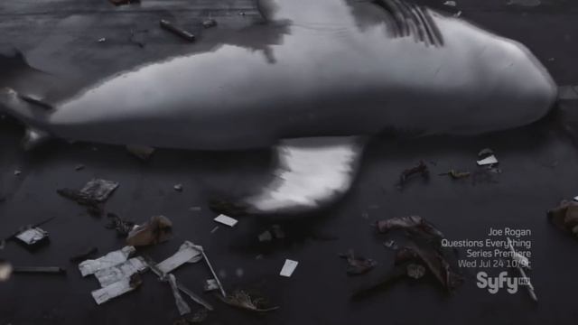 5 самых упоротых фильмов про акул!