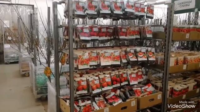 Цветочный магазин Гринвилль в Новосибирске! смотреть онлайн