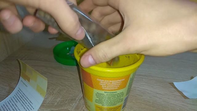 Набор вырасти дерево! Сажаем Домашний мандарин!)? смотреть онлайн