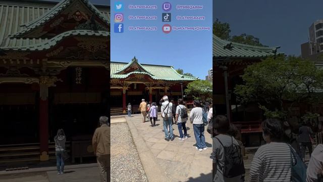 Templo Nezu Tokyo #templo #shintoismo #Japon #tokyo #Japan #anime #Latino #turismo смотреть онлайн