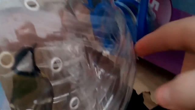 Автоматическая ловушка на птиц из бутылки и коробки! смотреть онлайн