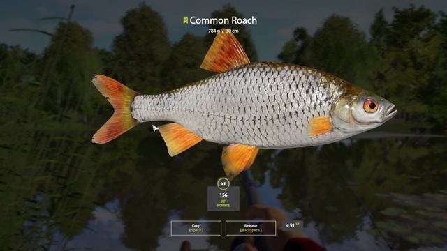 Russian Fishing 4 - Sura River - Trophy Common Roach - #30 смотреть онлайн