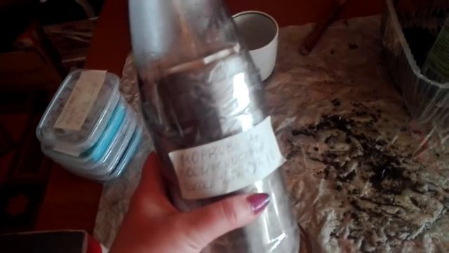 Морковь из рассады. Плюсы и минусы. Сибирская дача смотреть онлайн