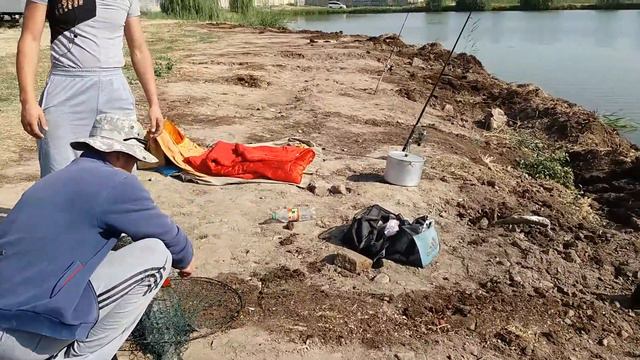 20 июля 2017 г. смотреть онлайн