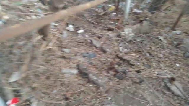 Саратов: всё не для людей смотреть онлайн