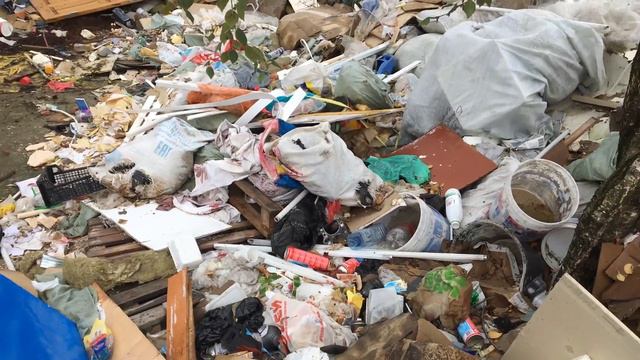 Зеленый Фронт: свалка на Балканской дороге смотреть онлайн