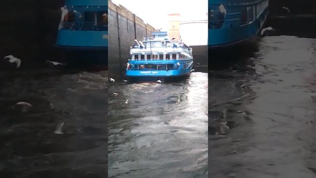 Шлюзование теплохода"Лебединое озеро".Рыбинский шлюз.. смотреть онлайн