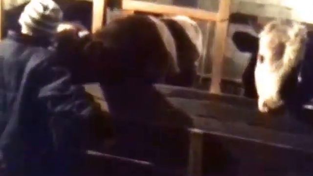 Андийци смотреть онлайн