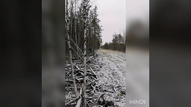 Охота с гончими смотреть онлайн