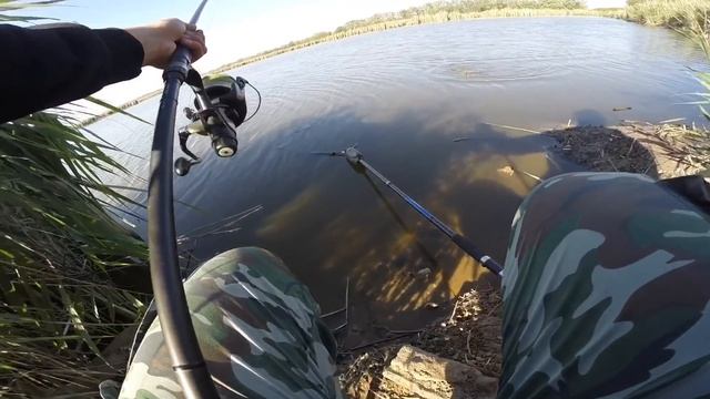 Ловля карпа в октябре 2018 | жарю сардельки на углях | отличный клев | HD смотреть онлайн