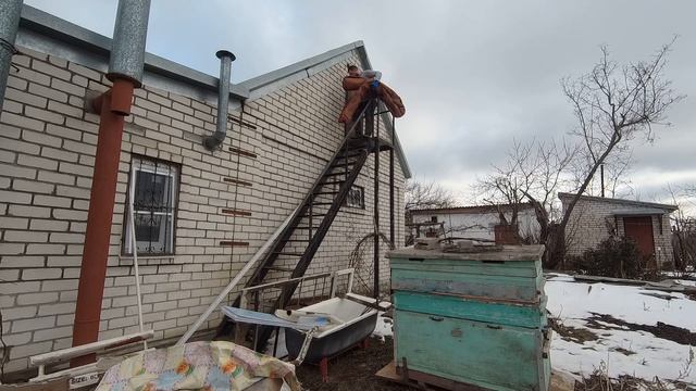 ПЕРЕЕЗД В ДЕРЕВНЮ | ДЕЛА ТЕКУЩИЕ #купилдомвдеревне #переездвдеревню #переезднаюг #хутор