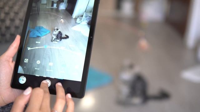 El iPad barato de Chuwi ? ¡Tablet Android por 200€! смотреть онлайн