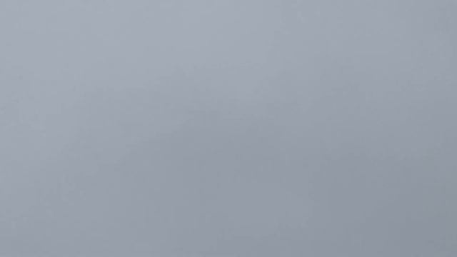 Pigeon Kaftar Kabootar 2 ястреб за ?️ смотреть онлайн