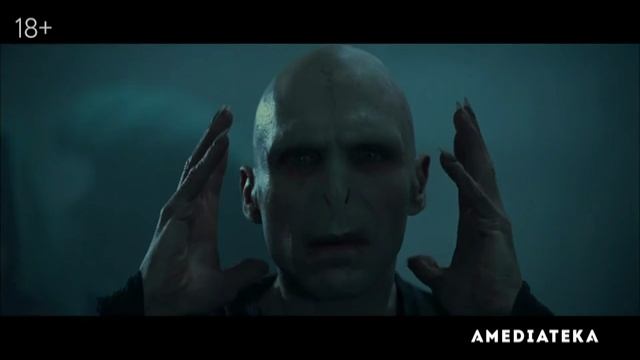 Гарри Поттер 20 лет спустя Возвращение в Хогвартс (2022) смотреть онлайн